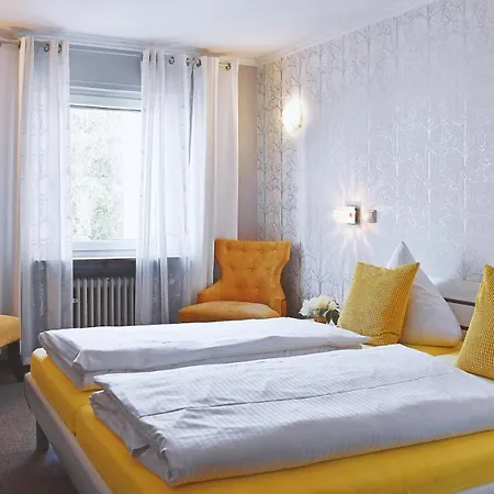 Hotel Römerhof Bingen am Rhein