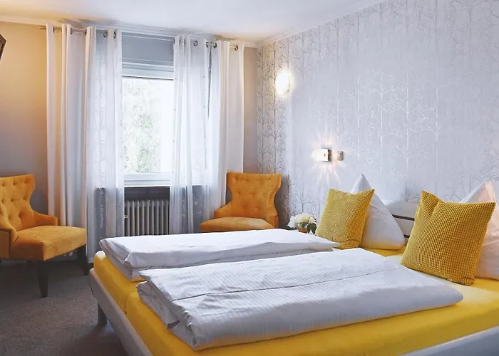 Hotel Römerhof Bingen am Rhein