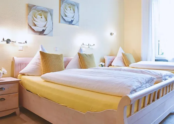 Römerhof 2* Bingen am Rhein